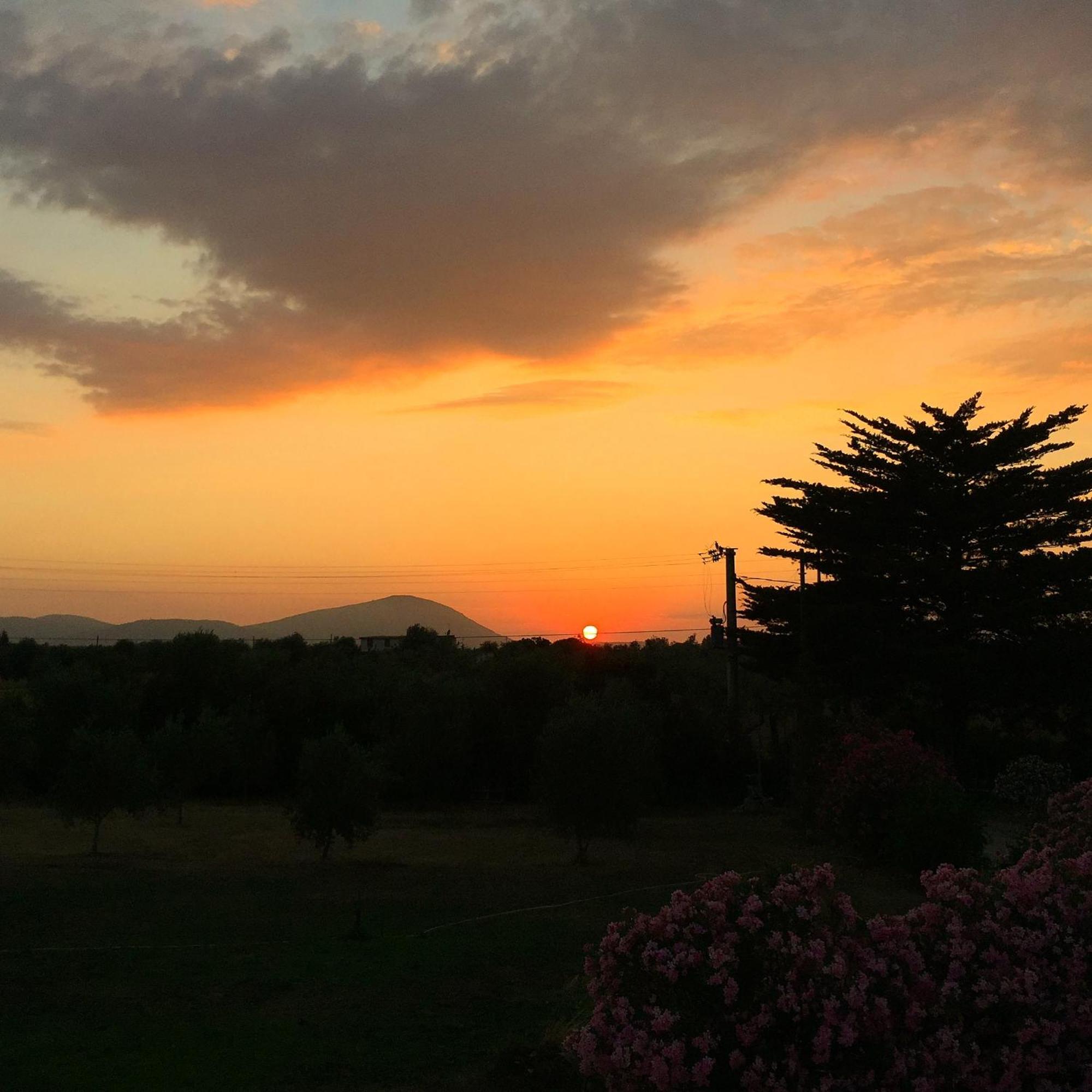 Apartmán L'Ulivo Alghero Exteriér fotografie